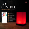 Modern Design Friendship Lamp showing full 256-color LED spectrum
