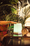 Single FriendLi friendship lamp being touched then glowing a green light to connect to loved ones