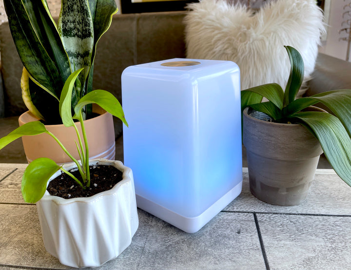 Bringing Loved Ones Closer: Introducing FriendLi Subscription Model for Friendship Lamps