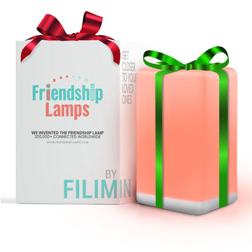 Imperfect FriendLi Friendship Lamp - Subscription Required