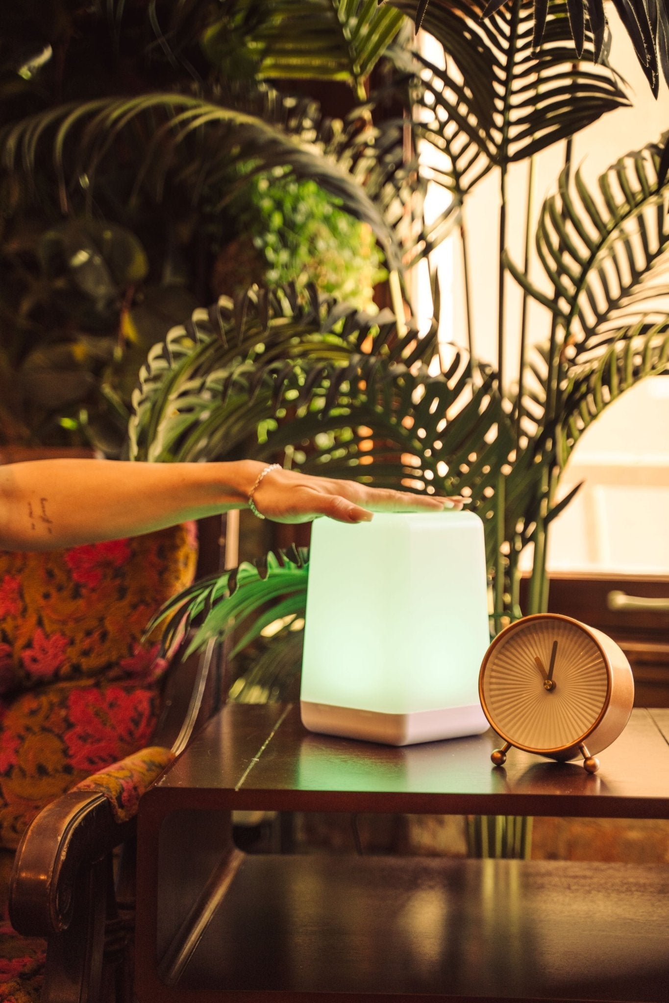 Imperfect FriendLi Friendship Lamp - Subscription Required - Friendship Lamps | Powered by Filimin