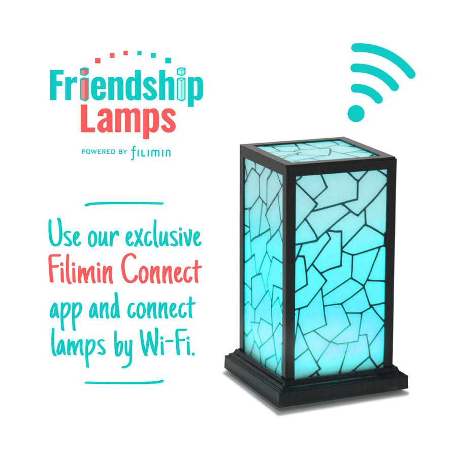 [Friendship Lamp Classic Single Teal Wifi Connection]